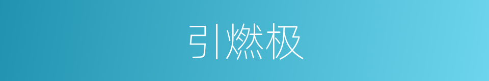 引燃极的同义词