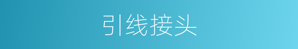 引线接头的同义词