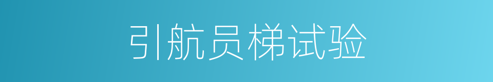 引航员梯试验的同义词