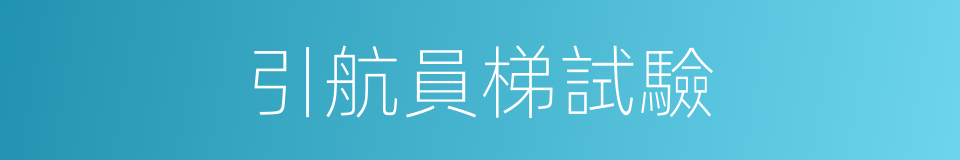 引航員梯試驗的同義詞