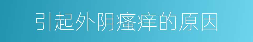 引起外阴瘙痒的原因的同义词