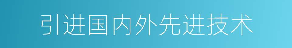 引进国内外先进技术的同义词