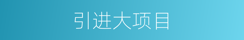 引进大项目的同义词