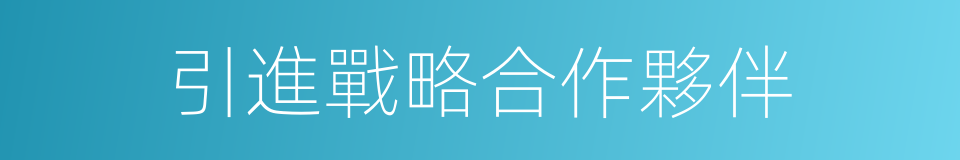 引進戰略合作夥伴的同義詞