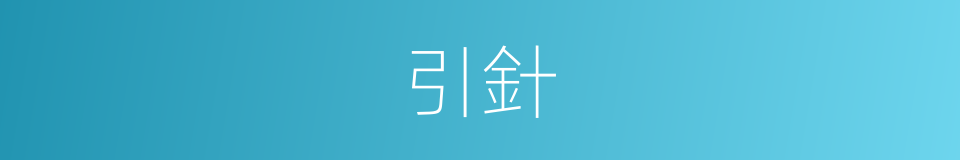 引針的意思