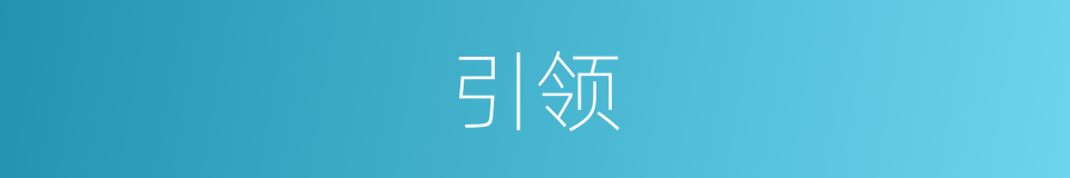 引领的意思