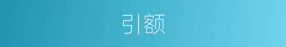 引额的意思