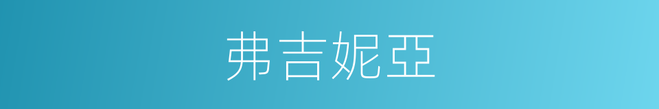 弗吉妮亞的同義詞