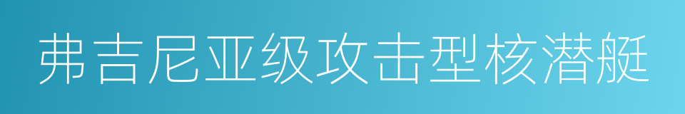 弗吉尼亚级攻击型核潜艇的同义词