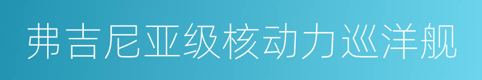 弗吉尼亚级核动力巡洋舰的同义词