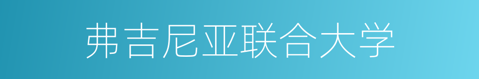 弗吉尼亚联合大学的同义词