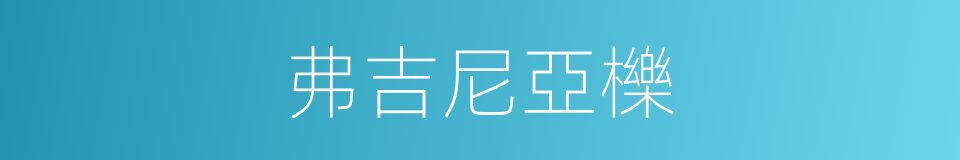 弗吉尼亞櫟的同義詞