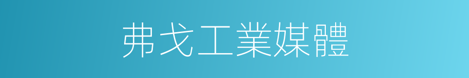弗戈工業媒體的同義詞