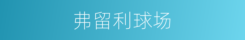 弗留利球场的同义词