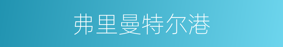 弗里曼特尔港的同义词