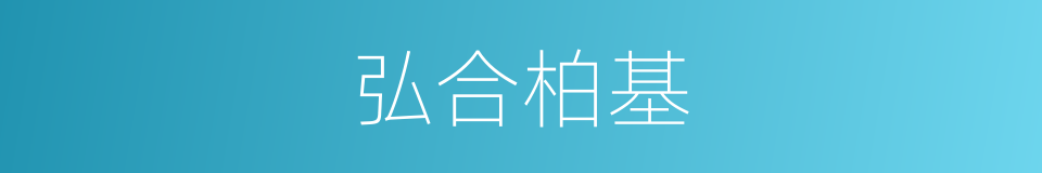 弘合柏基的同义词