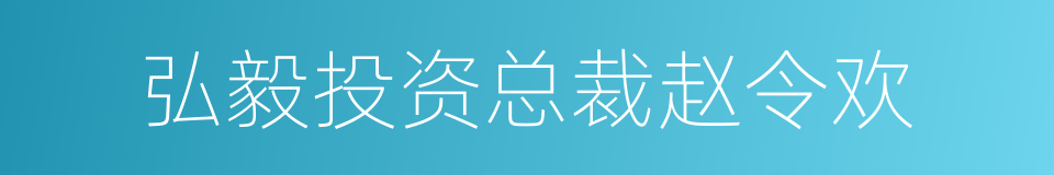 弘毅投资总裁赵令欢的同义词