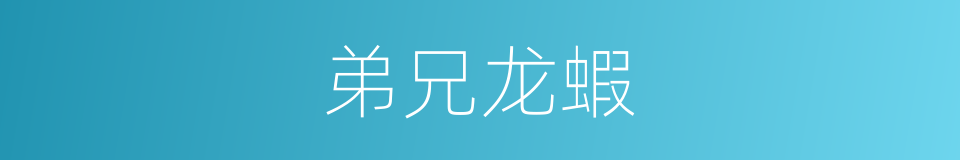 弟兄龙蝦的同義詞