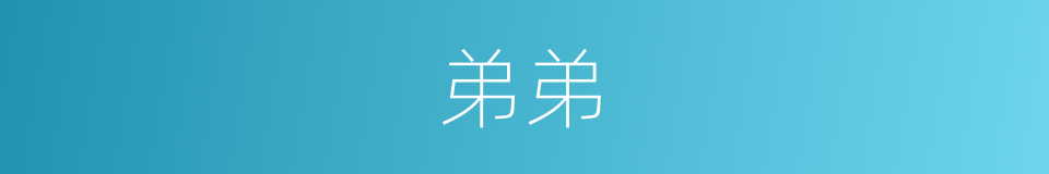 弟弟的意思