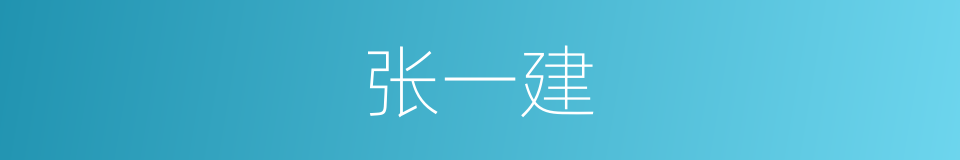张一建的同义词