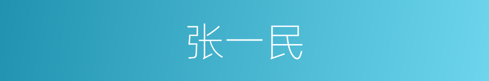 张一民的同义词
