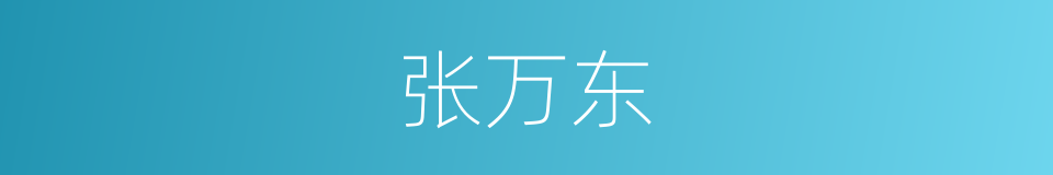 张万东的同义词