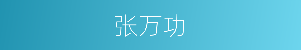张万功的同义词