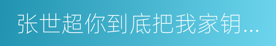 张世超你到底把我家钥匙放在哪里了的同义词