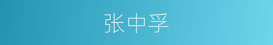 张中孚的同义词