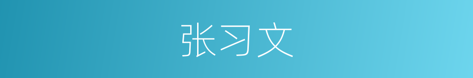 张习文的同义词