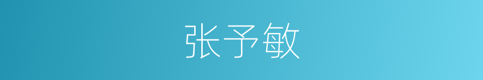 张予敏的同义词