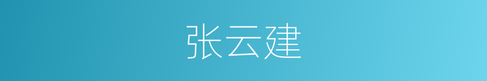 张云建的同义词