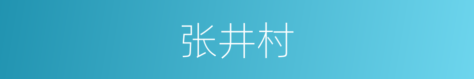 张井村的同义词