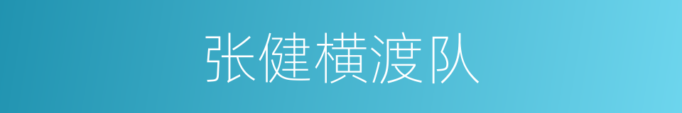 张健横渡队的同义词