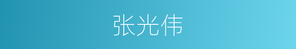 张光伟的同义词