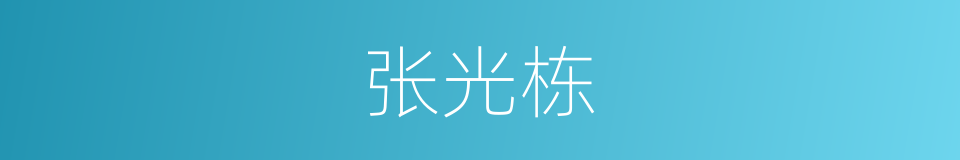 张光栋的同义词