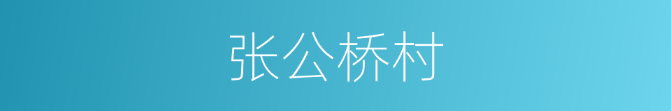 张公桥村的同义词