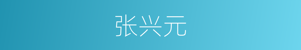 张兴元的同义词