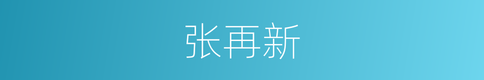 张再新的同义词