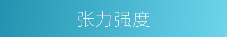 张力强度的同义词