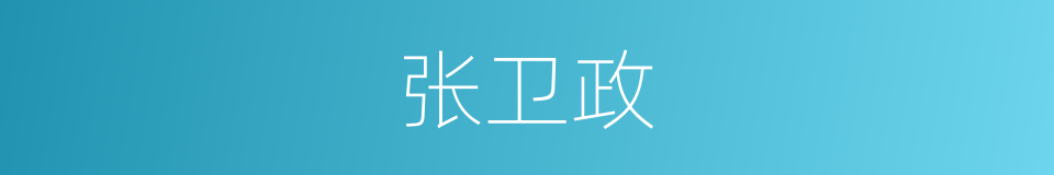 张卫政的同义词