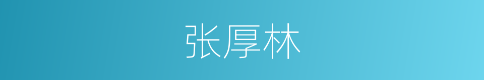 张厚林的同义词