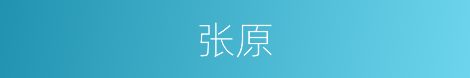 张原的同义词