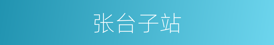 张台子站的同义词