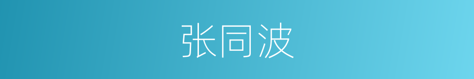 张同波的同义词