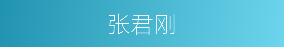张君刚的同义词