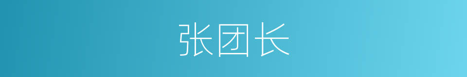张团长的同义词