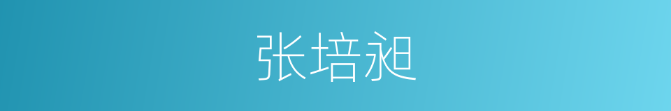 张培昶的同义词