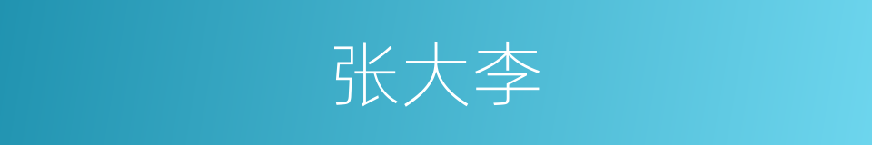 张大李的同义词