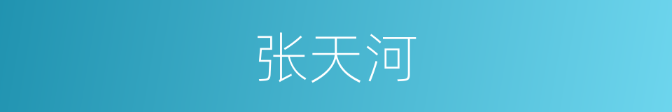 张天河的同义词